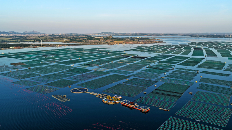 El_salto_verde_de_Noruega__fortaleciendo_lazos_con_la_China_continental