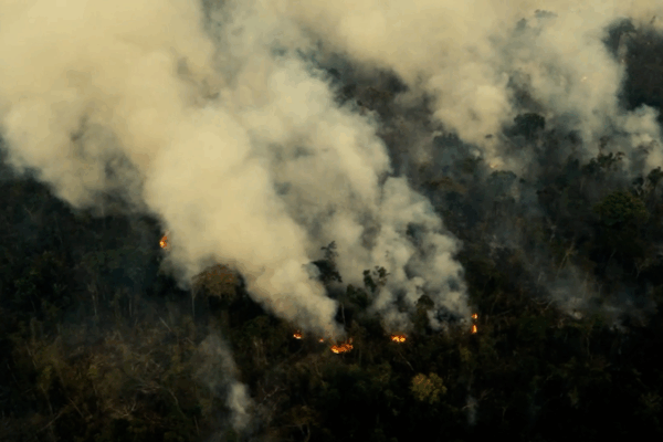 Nuevo proyecto de ley podría acelerar la deforestación del Amazonas en Brasil Nuevo proyecto de ley podría acelerar la deforestación del Amazonas en Brasil video poster