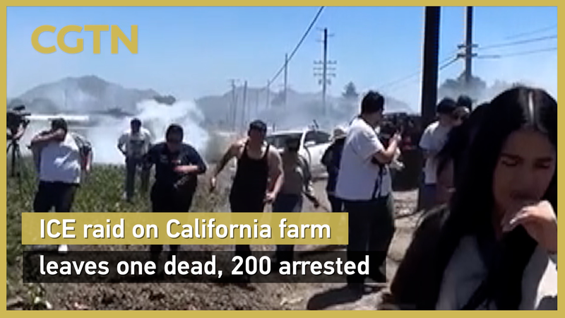 Caótica redada de ICE en granja de cannabis en California: 1 muerto, 200 arrestos Caótica redada de ICE en granja de cannabis en California: 1 muerto, 200 arrestos video poster