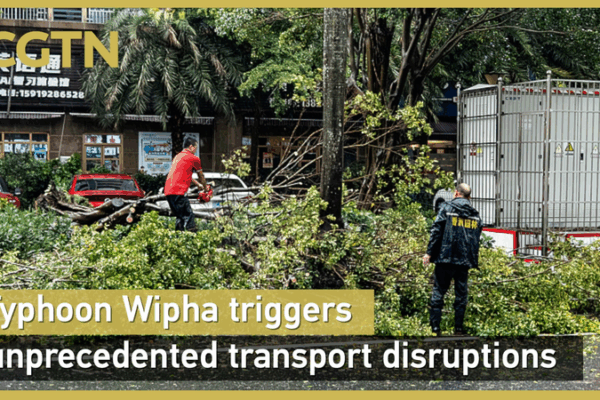 El tifón Wipha interrumpe el transporte en el sur de China video poster