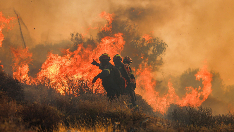 Europa bajo el azote de una ola de calor récord: destrucción y tragedia Europa bajo el azote de una ola de calor récord: destrucción y tragedia