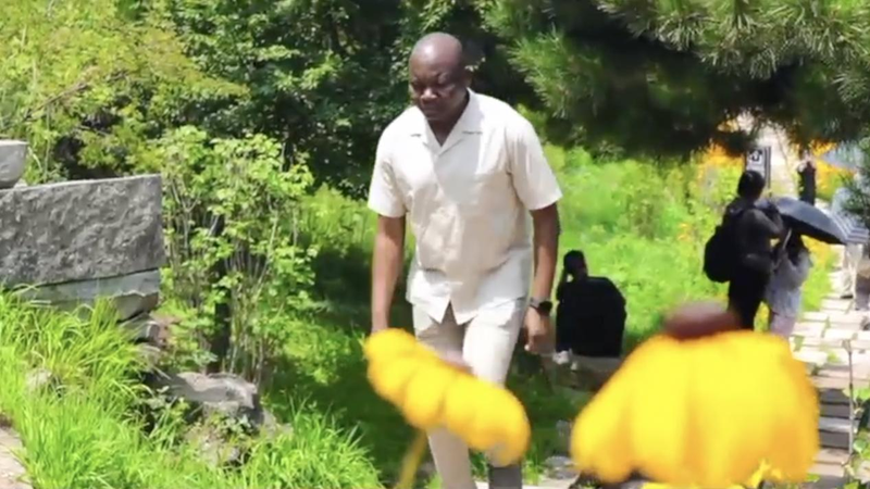 Abrazando la armonía de la naturaleza en el continente chino