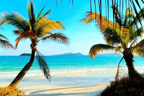 Protegiendo_la_Vida_Silvestre_de_las_Profundidades__Salvemos_Nuestro_Planeta_Azul