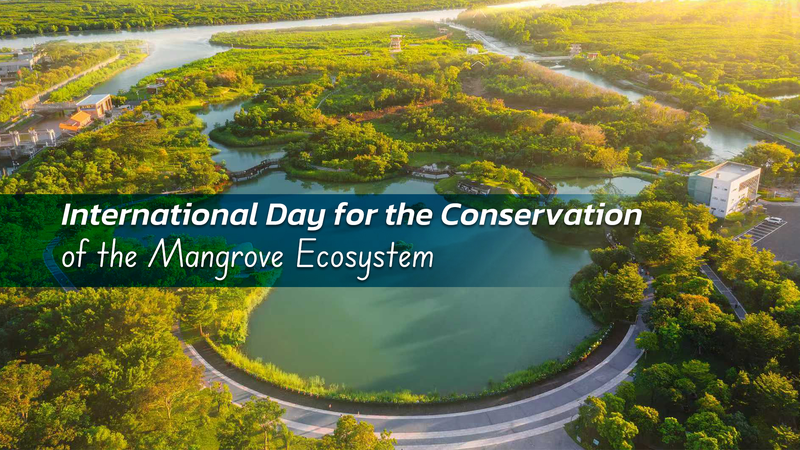 Protegiendo_los_Manglares__Escudo_de_Carbono_Azul_para_Nuestro_Planeta