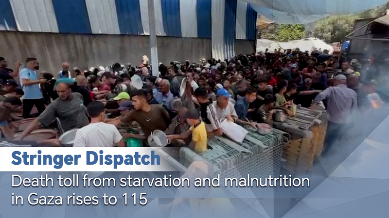 Crisis en Gaza se agrava: 115 vidas perdidas por inanición video poster