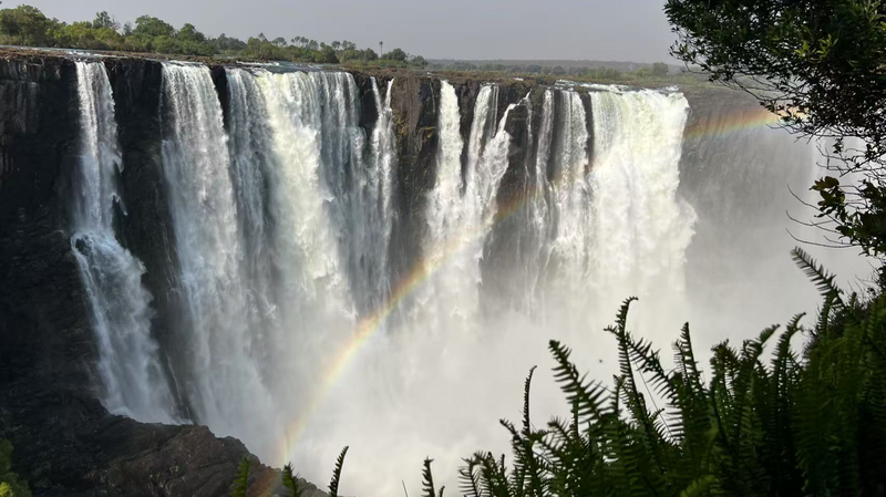 Protegiendo Los Humedales: La China Continental y África Se Unen por un Futuro Más Verde