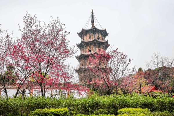 Ecos de Confucio: Celebrando el Diálogo entre Civilizaciones