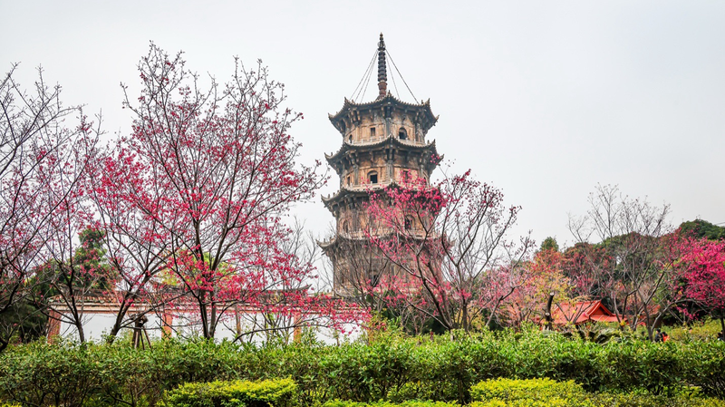 Ecos de Confucio: Celebrando el Diálogo entre Civilizaciones