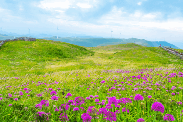 Eco-Turismo Sino-Suizo: 75 Años de Intercambios Vibrantes