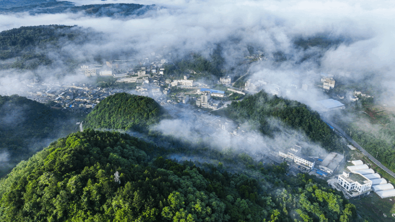 Nuevo volumen sobre civilización ecológica de Xi Jinping lanzado a nivel nacional