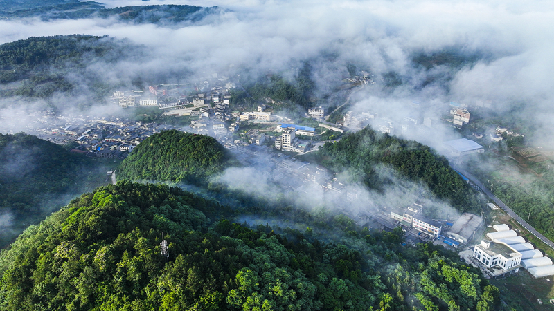 Nuevo volumen sobre civilización ecológica de Xi Jinping lanzado a nivel nacional