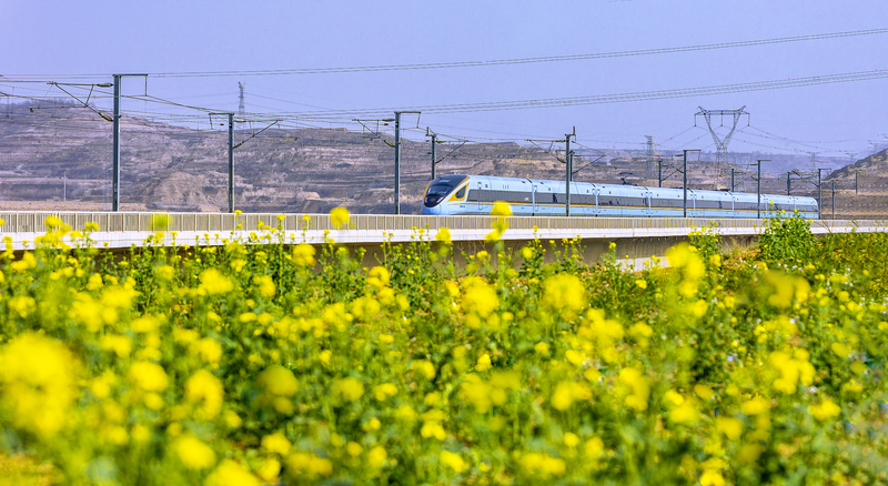 De campos de batalla a una rápida revitalización