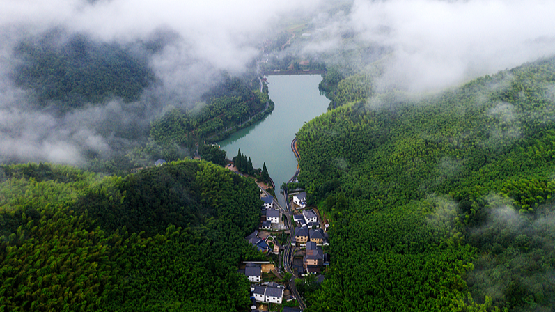Luhuadang en la Montaña Mogan: Tu Santuario de Verano en Zhejiang video poster