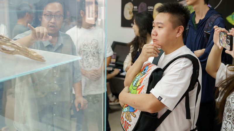 Los creadores de Ling Cage se embarcan en una expedición de dinosaurios para la temporada 3