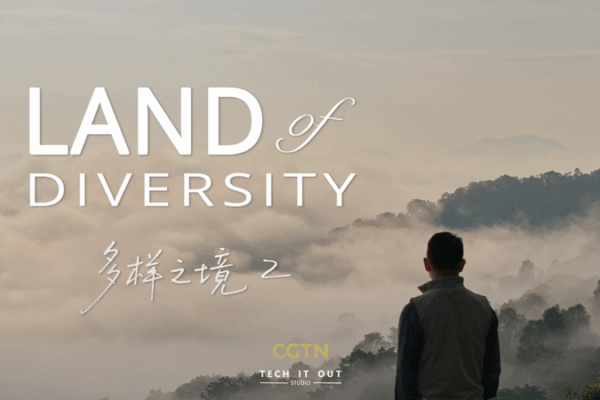 Tierra de Diversidad II: Nuestra Historia Simbiótica con la Naturaleza video poster