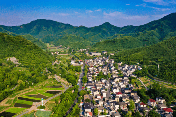 La visión ecológica de Xi impulsa el movimiento global de sostenibilidad