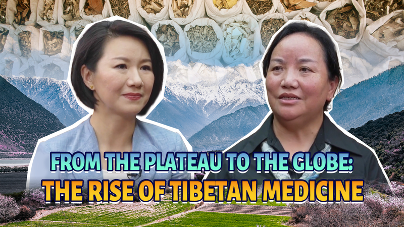 De_meseta_a_globo__El_auge_de_la_medicina_tibetana video poster