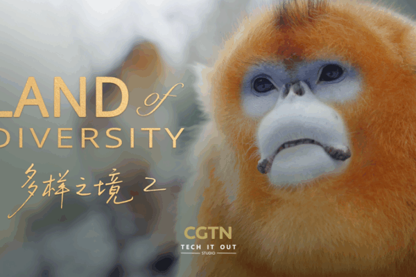 Hogar compartido: Cómo las Montañas Qinling unen a los humanos y la vida silvestre video poster