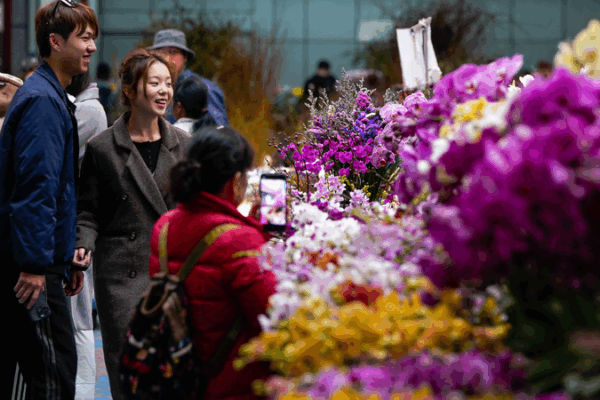 El_Nuevo_Plan_de_China_Impulsa_la_Demanda_Interna_y_la_Resiliencia