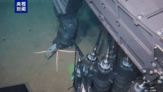 El_ROV_Haiqin_de_China_se_sumerge_a_4_140m_en_prueba_en_el_Mar_de_China_Meridional