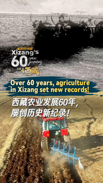 Xizang en 60 Segundos: 60 Años de Revolución Agrícola video poster