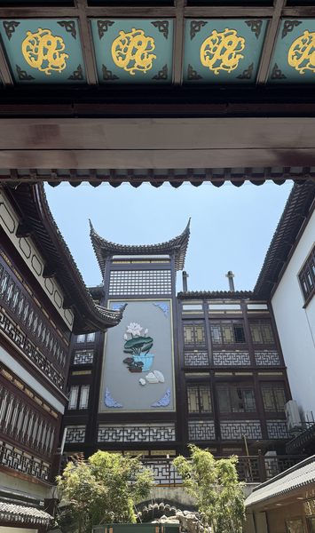 Faroles y callejones: Explorando el laberinto del mercado Yuyuan de Shanghái video poster