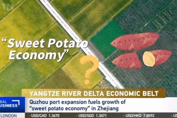 El auge de los camotes en Quzhou: Un sabor a innovación en Zhejiang video poster
