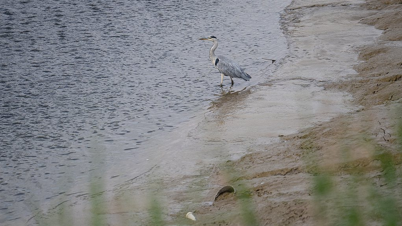 Tecnología impulsada por el sol convierte PFAS en fluoruro seguro