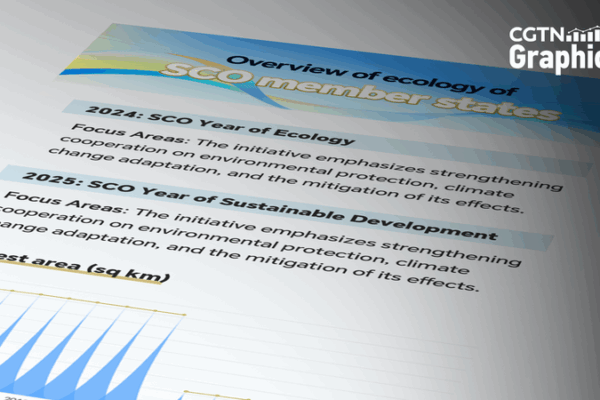 SCO se vuelve ecológico: del Año de la Ecología 2024 a la Sostenibilidad 2025