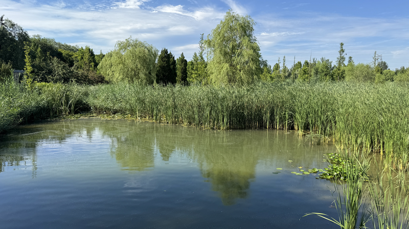 Parque del Río Wenyu: De un arroyo contaminado a un centro eco-social video poster