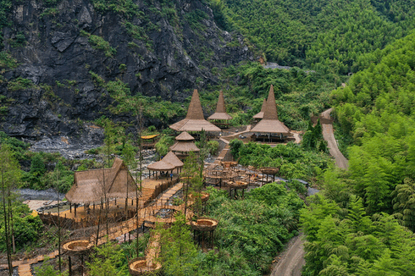 Cómo los bosques de bambú en el mercado de carbono de China están convirtiendo el CO2 en efectivo 🌳💰