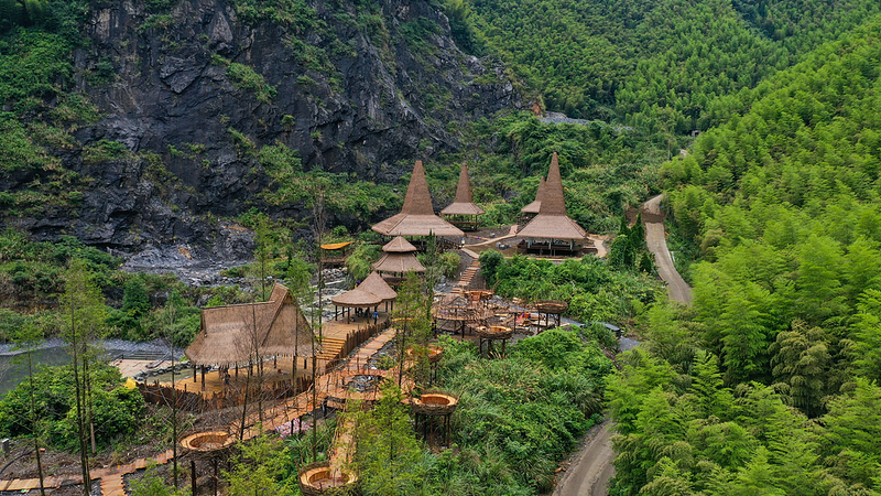 Cómo los bosques de bambú en el mercado de carbono de China están convirtiendo el CO2 en efectivo 🌳💰