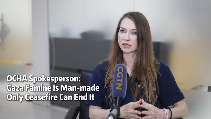 OCHA: La hambruna en Gaza es provocada por el hombre, solo un alto el fuego la detendrá video poster