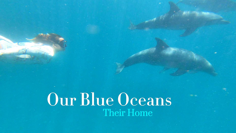 ONU@80: Llamado de la ceramista Megan White para proteger nuestros océanos azules video poster