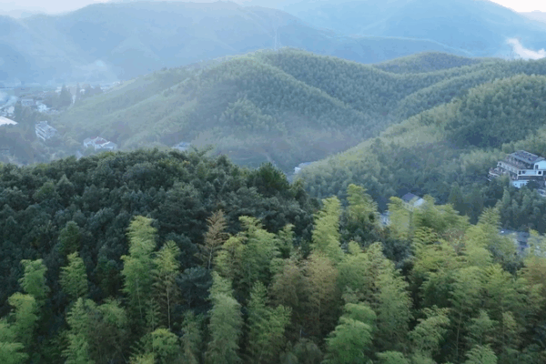 Escapa a los 'Hamptons de China': La maravilla de bambú de Moganshan video poster