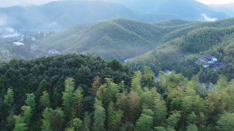 Escapa a los 'Hamptons de China': La maravilla de bambú de Moganshan video poster