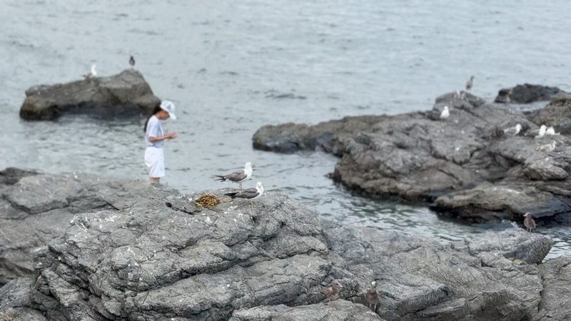 La economía marina de China se dispara un 5.8% en el primer semestre de 2025