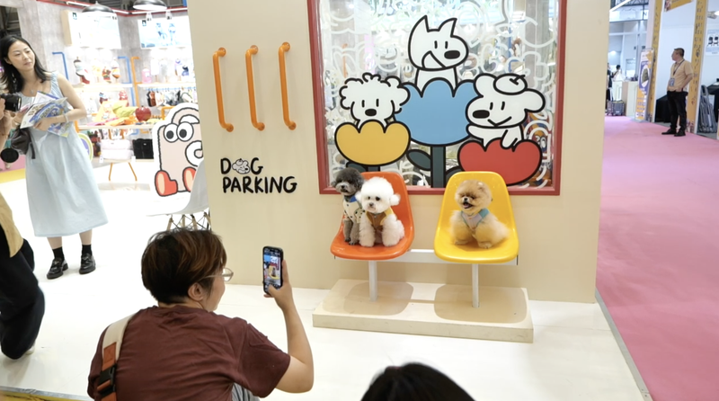 ¡Pet Fair Asia 2025: Shanghái da la bienvenida al mayor espectáculo de mascotas esponjosas de Asia! 🐾🎉 video poster
