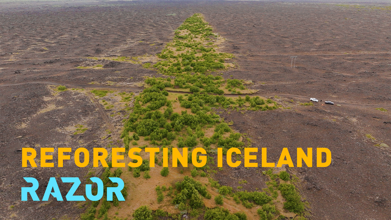 La recuperación forestal de Islandia: Plantando raíces para el futuro video poster