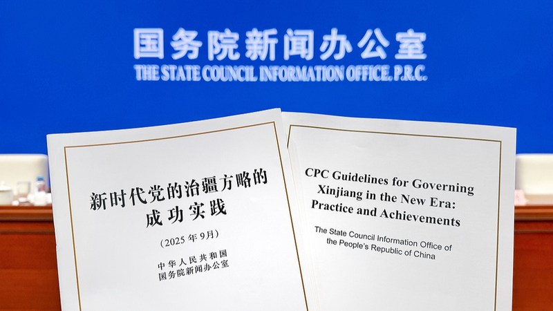 Por qué el Libro Blanco de Gobernanza de Xinjiang Importa Globalmente