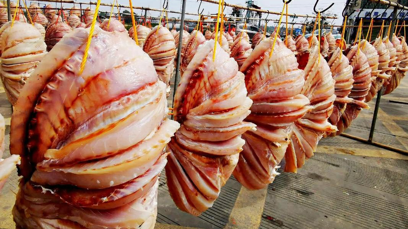 Pargo Rojo Besado por el Sol: Brilla la Técnica Tradicional de Secado de Danzhou