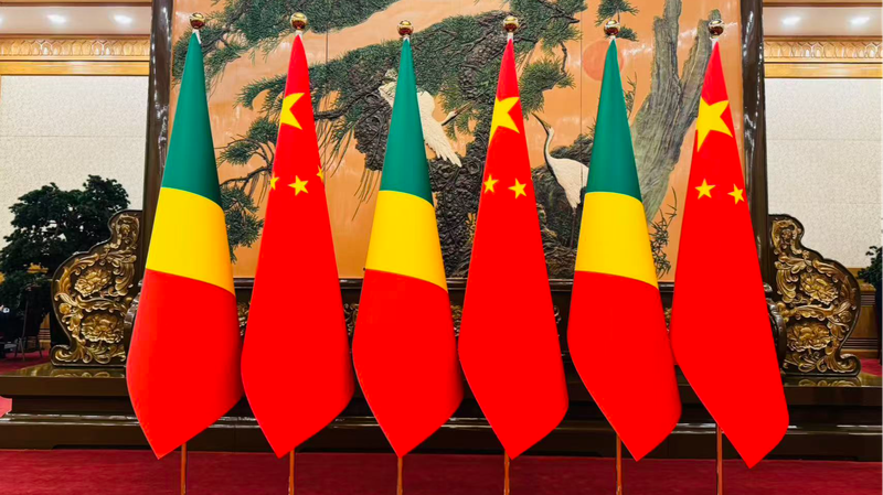 Xi Jinping se reúne con el presidente Denis Sassou Nguesso en Pekín