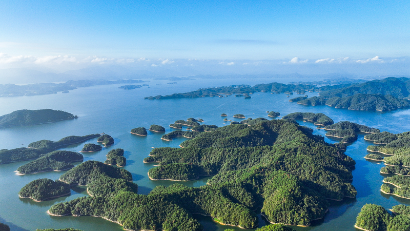 El amanecer de una era digital: Impulsando la protección de la biosfera