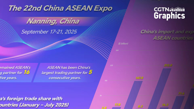 La 22ª Expo China-ASEAN en Nanning impulsa el comercio global