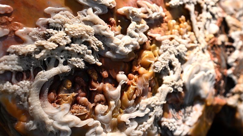 Dominando la Piedra: 50 Años de Escultura Shoushan con Chen Yijing