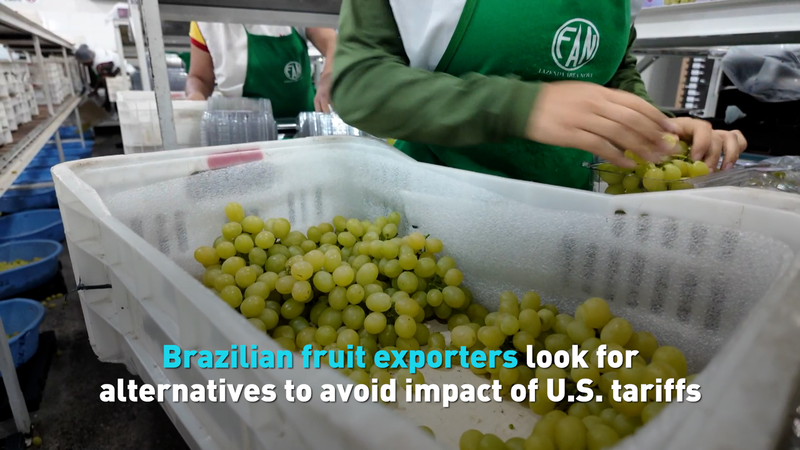 Productores de Frutas Brasileños Buscan Nuevos Mercados Ante Aranceles de EE. UU. video poster