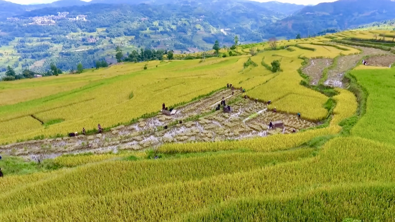 China añade 4 sitios a la lista de Estructuras de Irrigación Patrimonio Mundial video poster