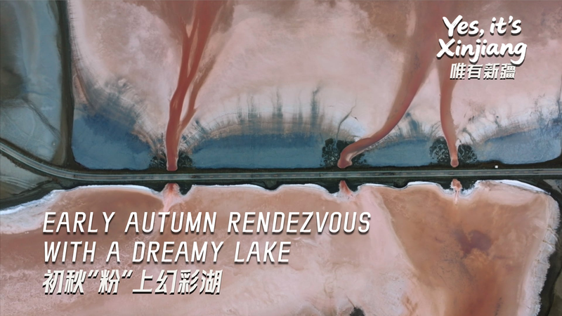 Brillo de principios de otoño: el lago Tuolekule de Xinjiang se vuelve rosa video poster
