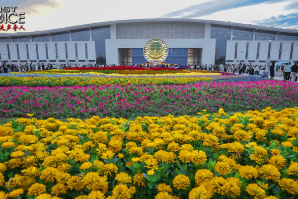 Iniciativa de Gobernanza Global de China: Por qué importa la igualdad