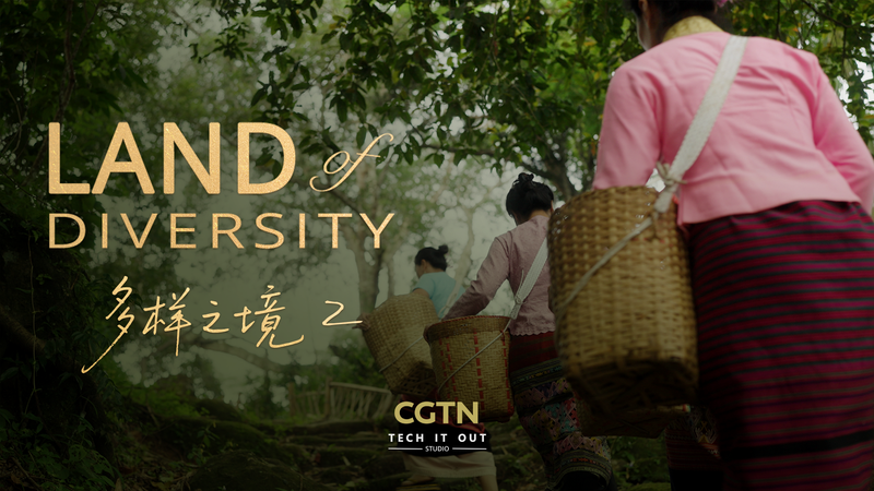 Jingmai: Secretos detrás de los tés más lujosos del mundo video poster